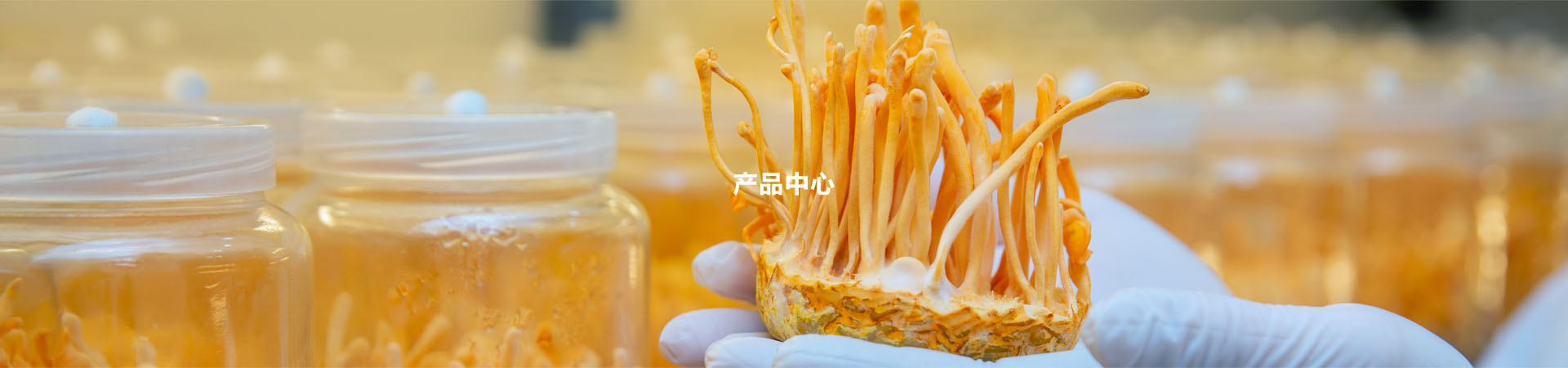 產(chǎn)品中心